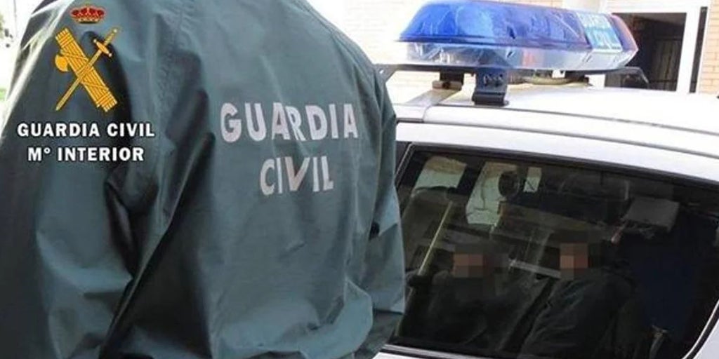 Detenido un joven por cometer cinco robos y siete incendios en Cenes de la Vega