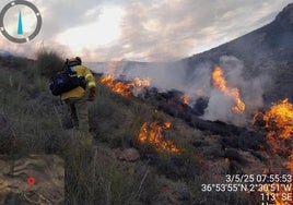 La caída de un rayo provoca un incendio forestal en Huércal de Almería, que trata de estabilizar un centenar de efectivos