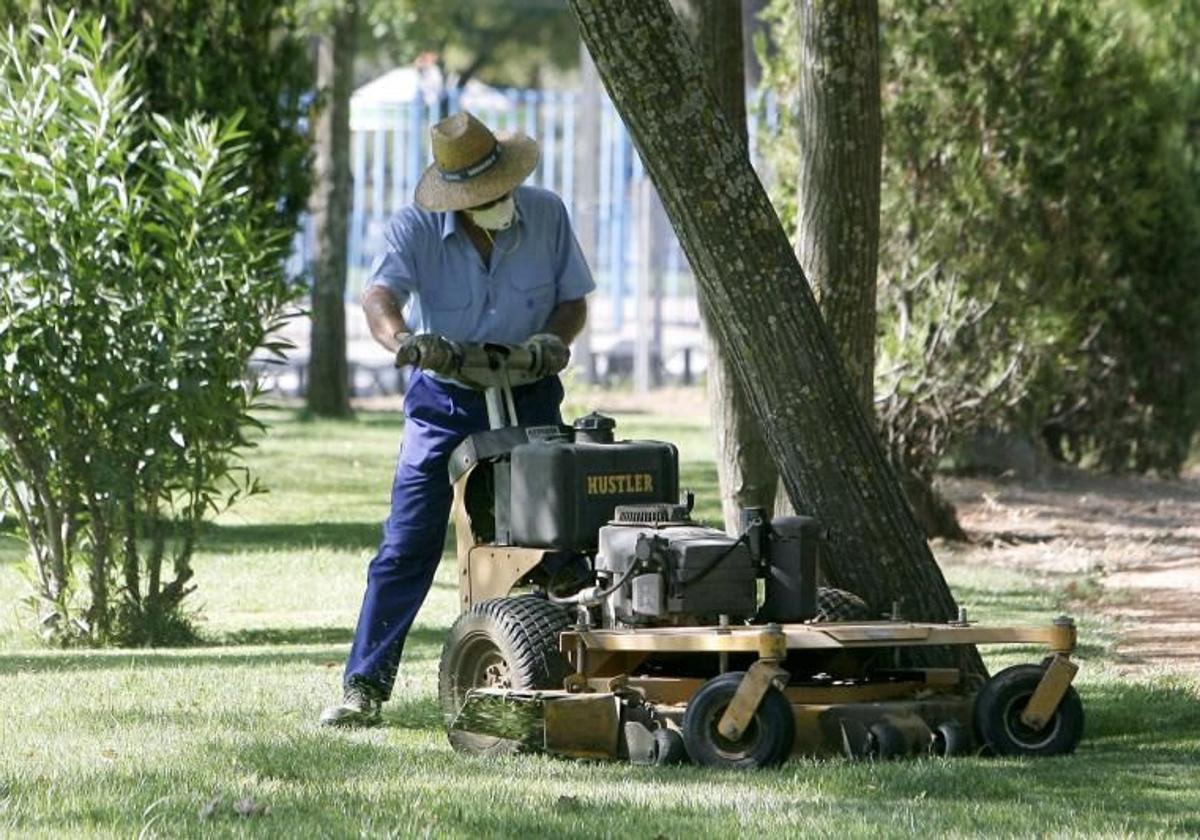 Un jardinero municipal en un parque de Córdoba