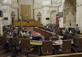 El PP rechaza crear una comisión parlamentaria de investigación sobre los contratos del SAS
