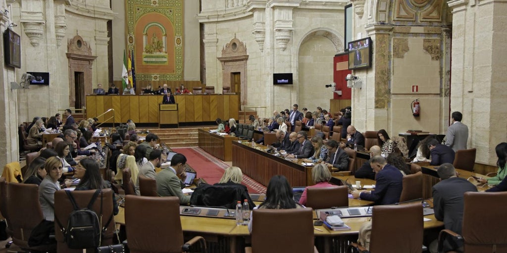 El PP rechaza crear una comisión parlamentaria de investigación sobre los contratos del SAS