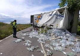 Un camión se sale de la carretera y pierde su carga en Navarra: cientos de gaseosas sobre la calzada