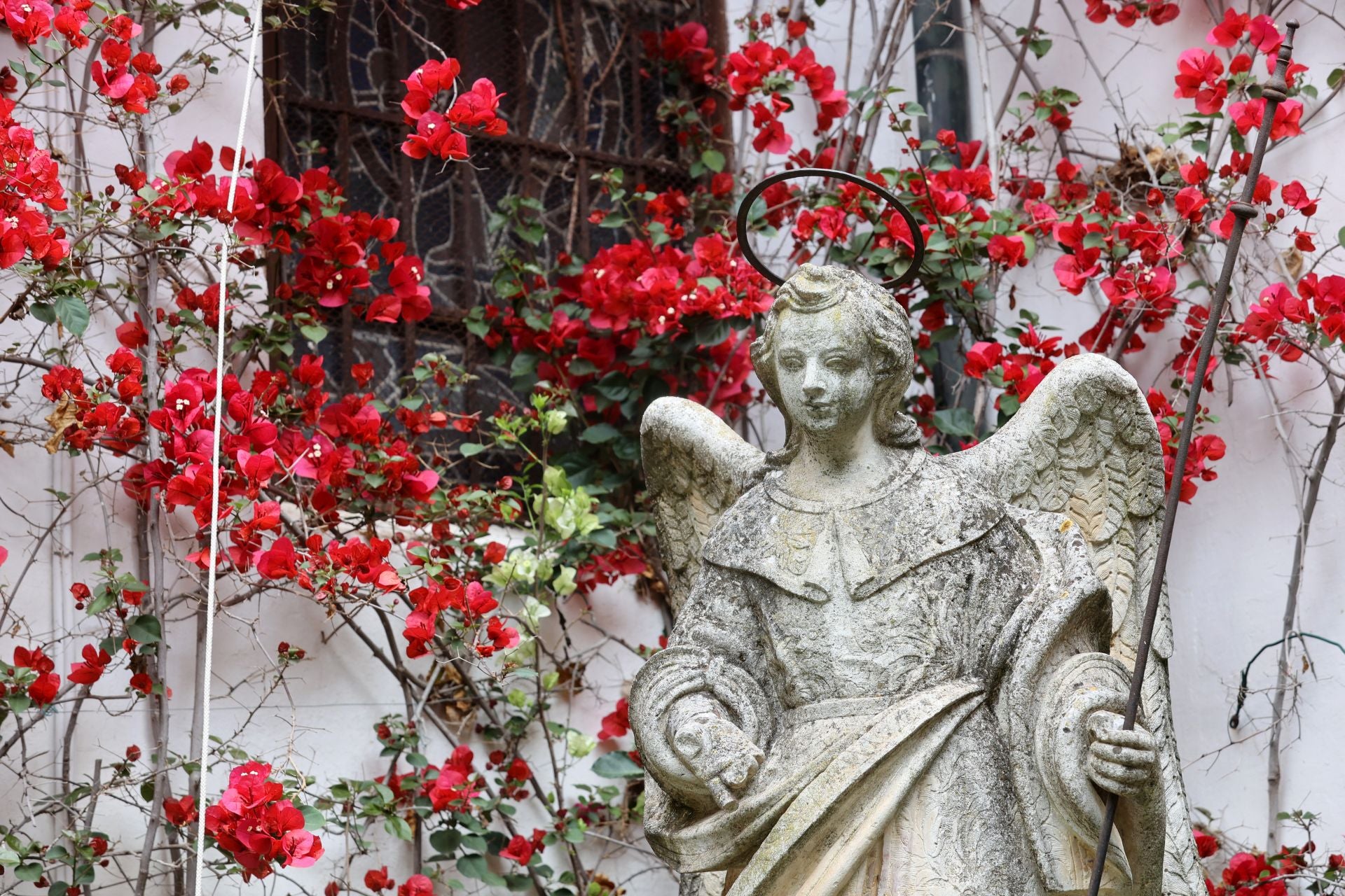 Los patios conventuales de Córdoba, en imágenes