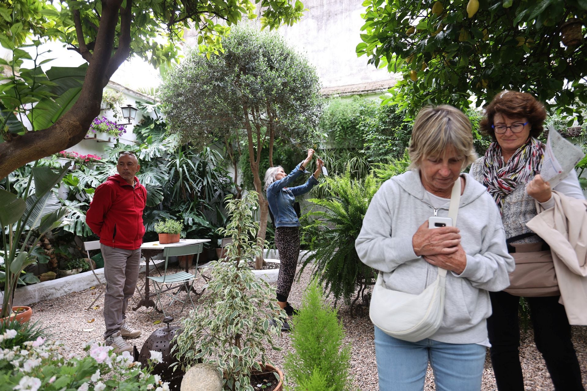 Los patios conventuales de Córdoba, en imágenes