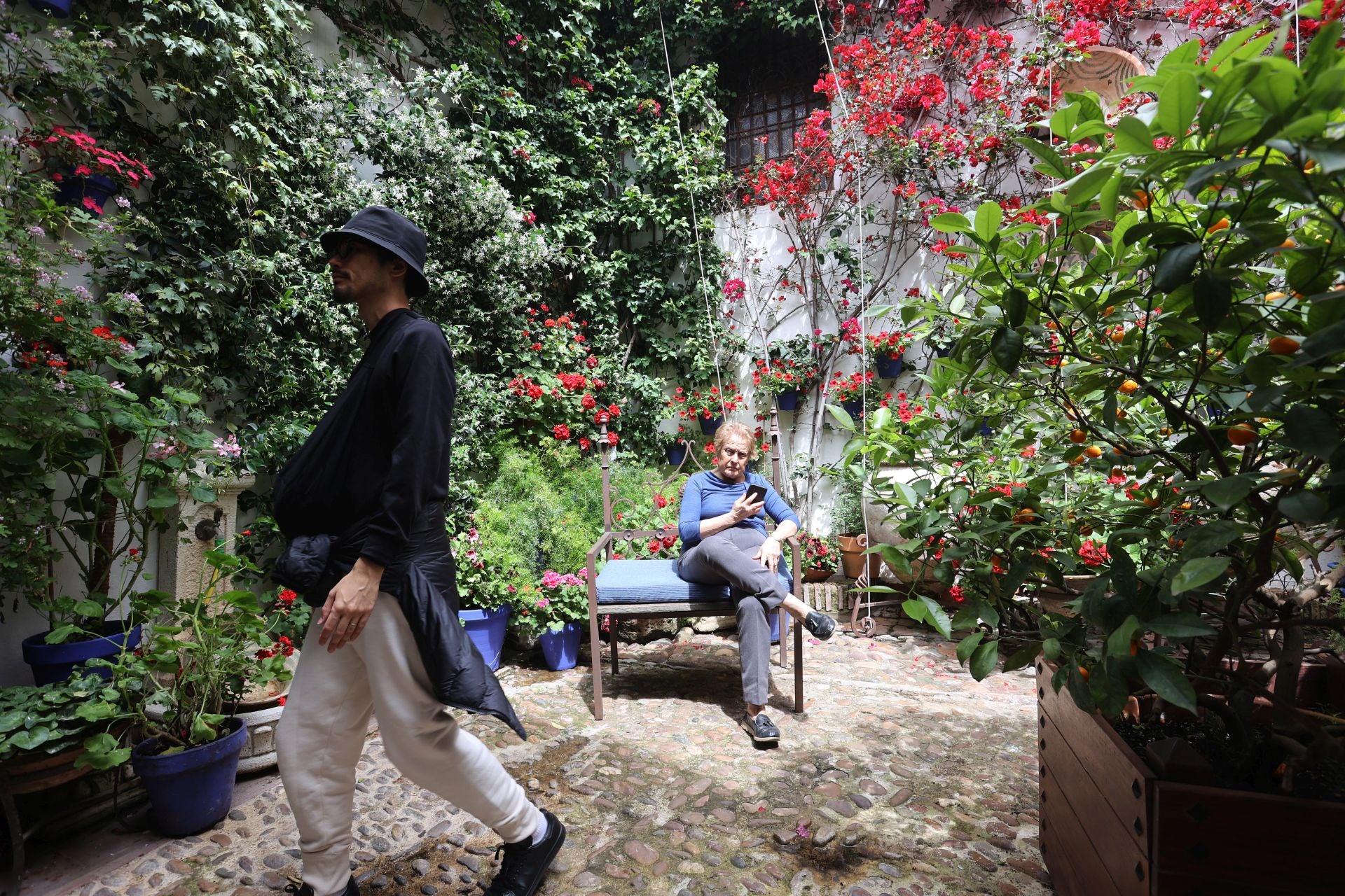 Los patios conventuales de Córdoba, en imágenes