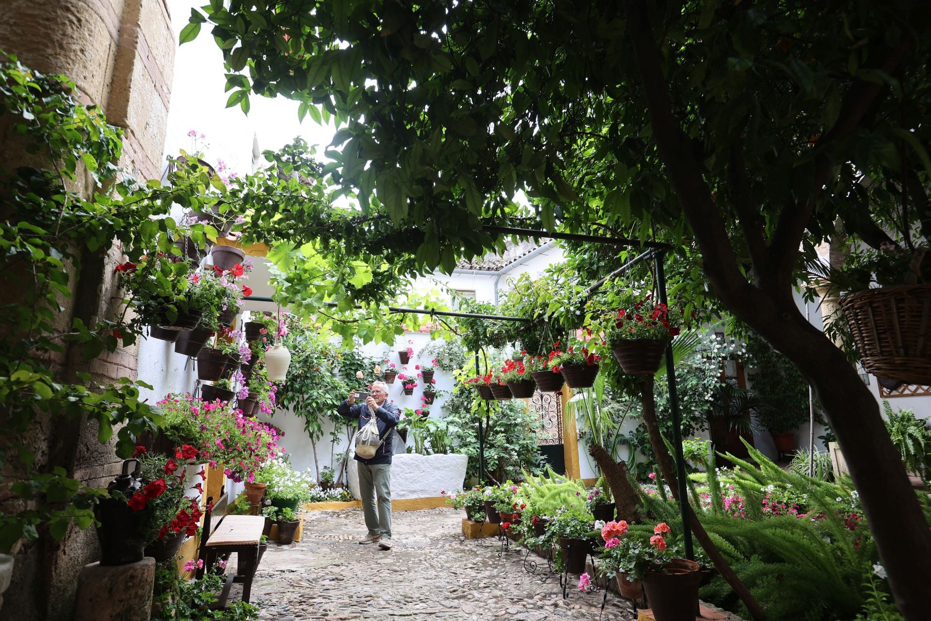 Los patios conventuales de Córdoba, en imágenes