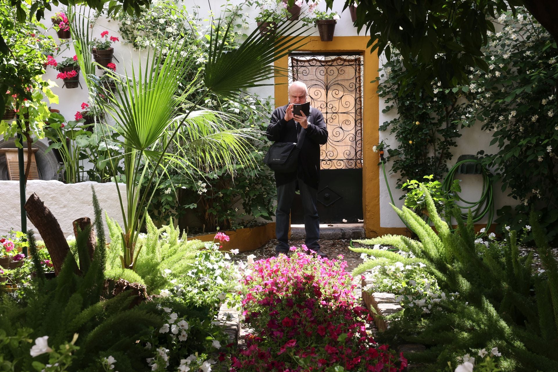 Los patios conventuales de Córdoba, en imágenes