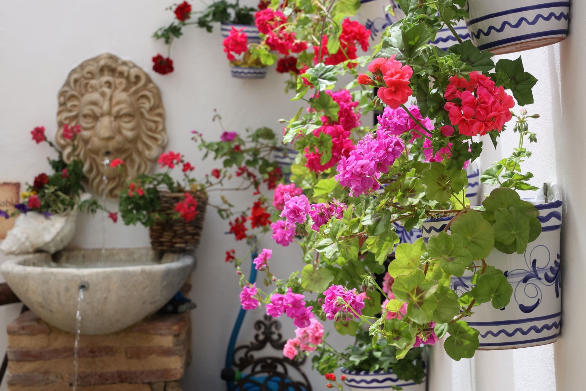 Los patios conventuales de Córdoba, en imágenes