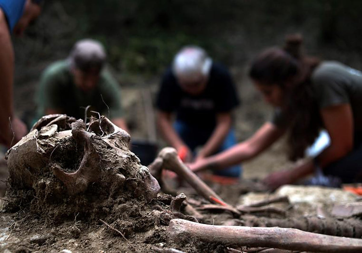 Exhumación de restos de la fosa de Etxalaz, en Navarra