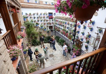 Los nuevos patios que se suman al concurso, en imágenes