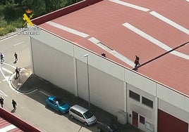 Detienen en Zaragoza a cuatro cultivadores de marihuana cuando huían por el tejado del invernadero