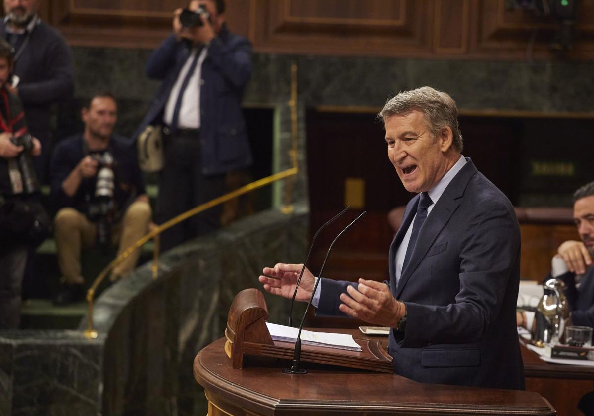 Alberto Núñez Feijóo, presidente del PP, en el Congreso