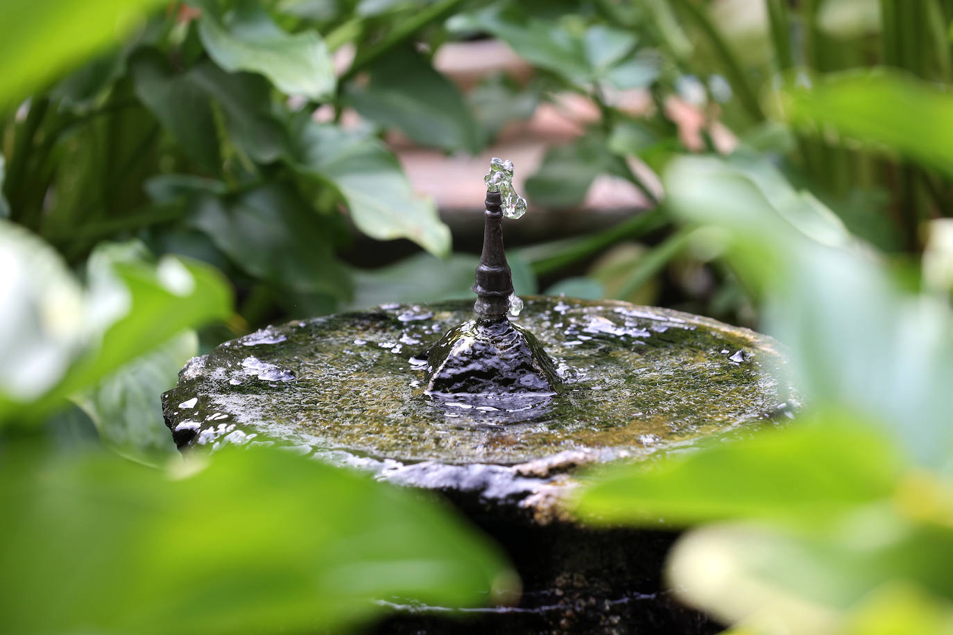 Los patios del Palacio de Viana de Córdoba, en imágenes