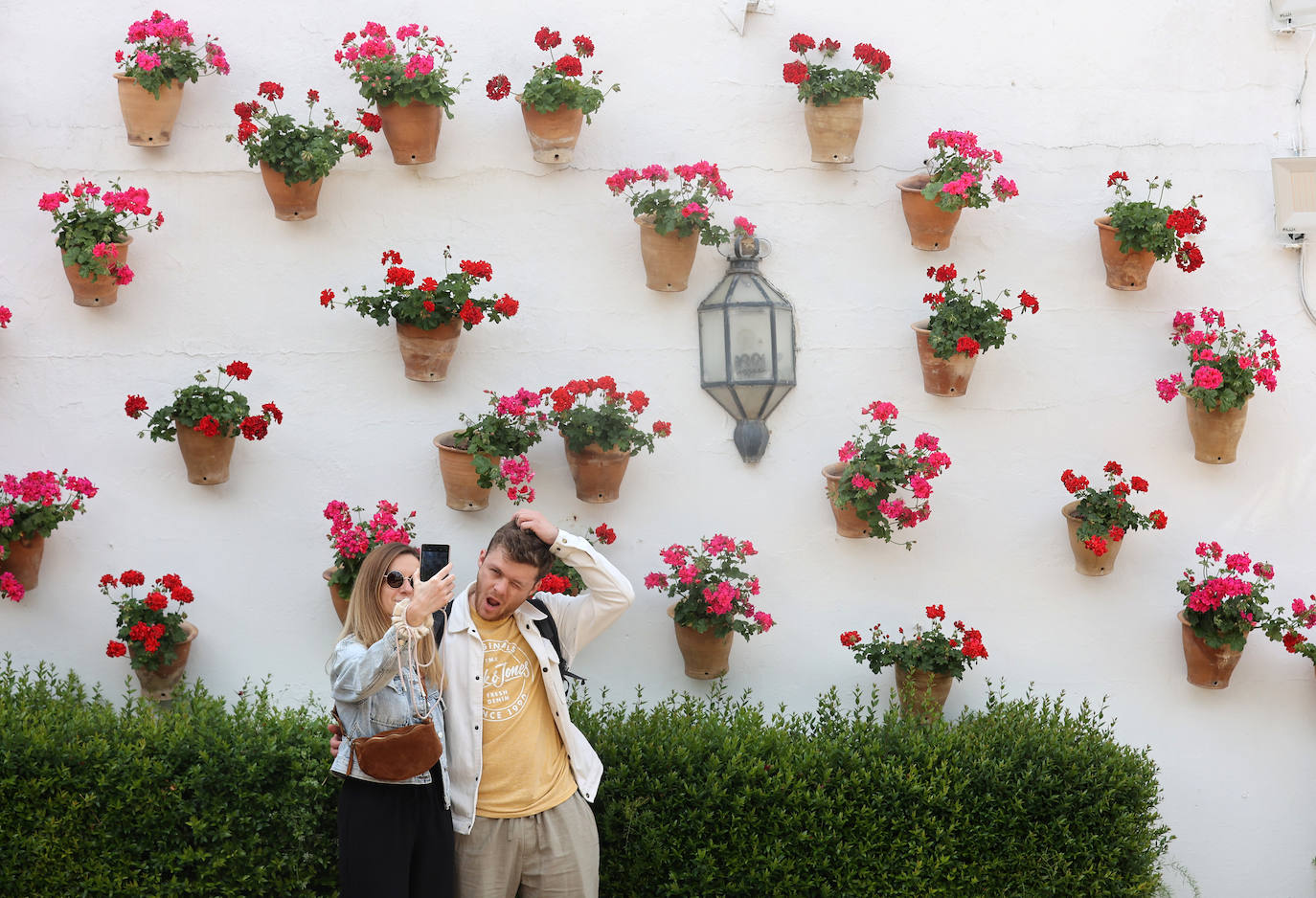 Los patios del Palacio de Viana de Córdoba, en imágenes