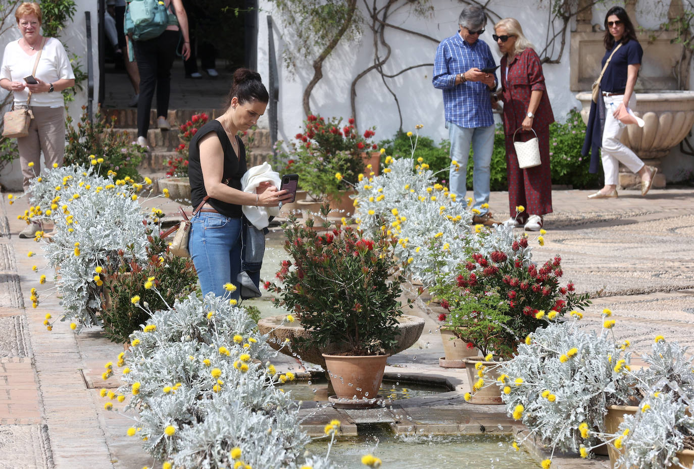 Los patios del Palacio de Viana de Córdoba, en imágenes