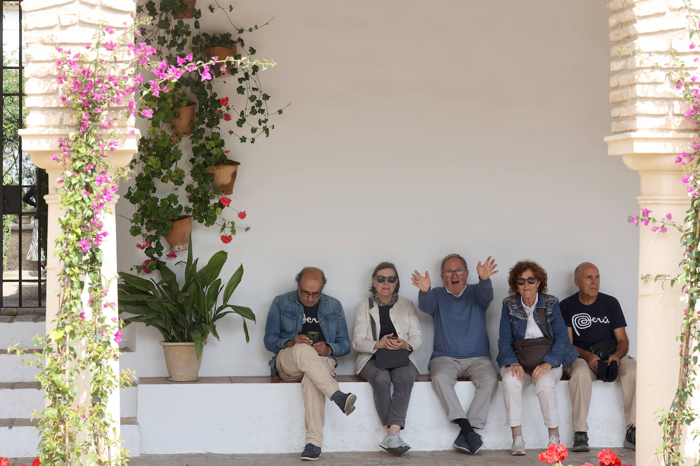 Los patios del Palacio de Viana de Córdoba, en imágenes