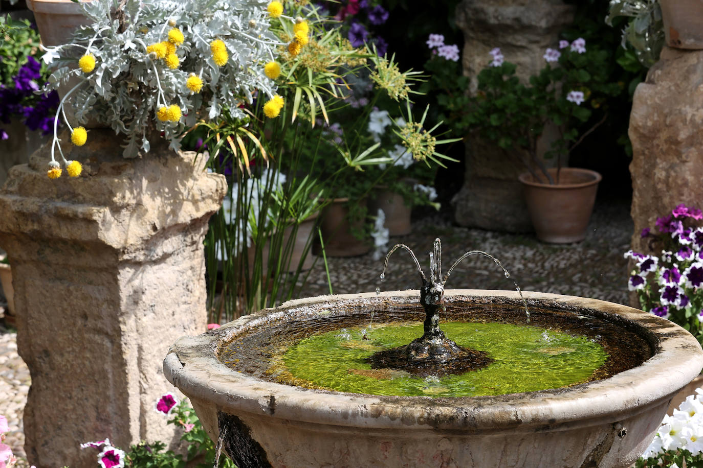 Los patios del Palacio de Viana de Córdoba, en imágenes