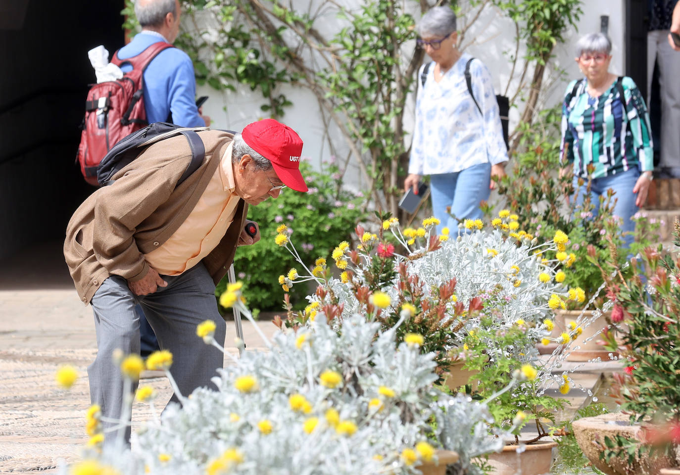 Los patios del Palacio de Viana de Córdoba, en imágenes