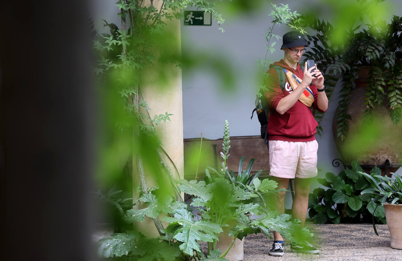 Los patios del Palacio de Viana de Córdoba, en imágenes