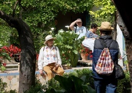 Los patios del Palacio de Viana de Córdoba, en imágenes