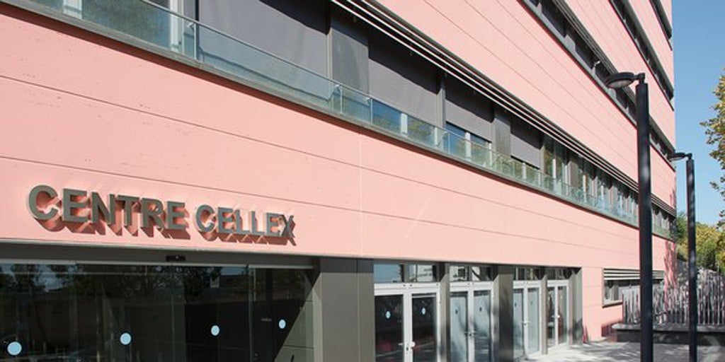 Àngel Surroca se personará como acusación popular tras denunciar el desfalco de Cellex