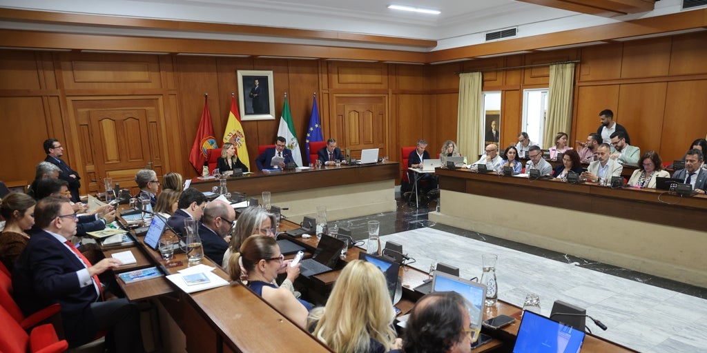 Pleno municipal: entran en vigor las nuevas tarifa del agua en Córdoba, con una subida del 10%