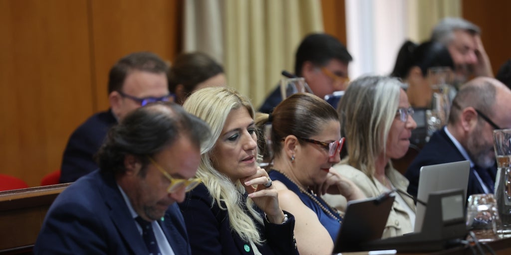 Las incidencias de la nueva plataforma electrónica y tramitador del Ayuntamiento de Córdoba se abordarán en el pleno de junio