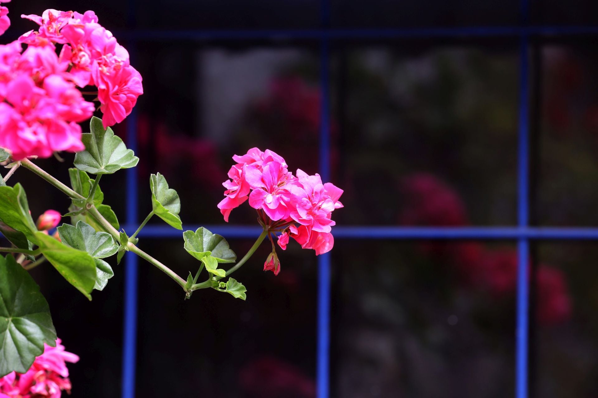 El patio de Marroquíes, 6 en Córdoba, en imágenes