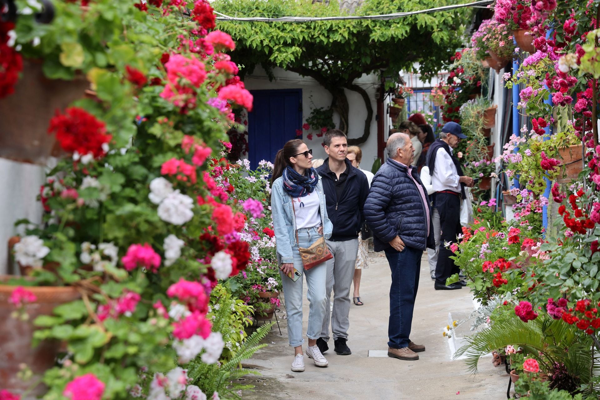 El patio de Marroquíes, 6 en Córdoba, en imágenes
