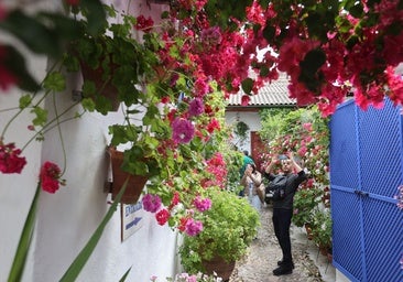 El patio de Marroquíes, 6, en imágenes