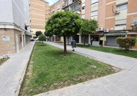El Ayuntamiento de Córdoba da luz verde al primer convenio para asumir zonas privadas de uso público en Parque Cruz Conde