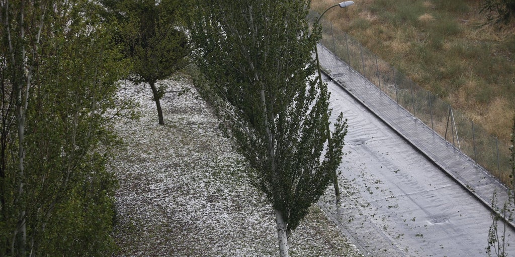 Activado el Meteocam en fase de alerta por lluvias, granizo y viento en toda Castilla-La Mancha