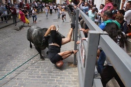 La brutal cogida en el Toro de Cuerda de Carcabuey, en imágenes