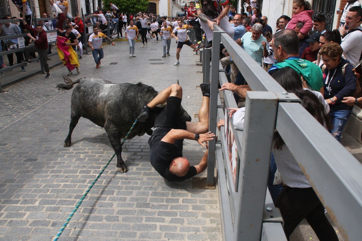 La brutal cogida en el Toro de Cuerda de Carcabuey, en imágenes