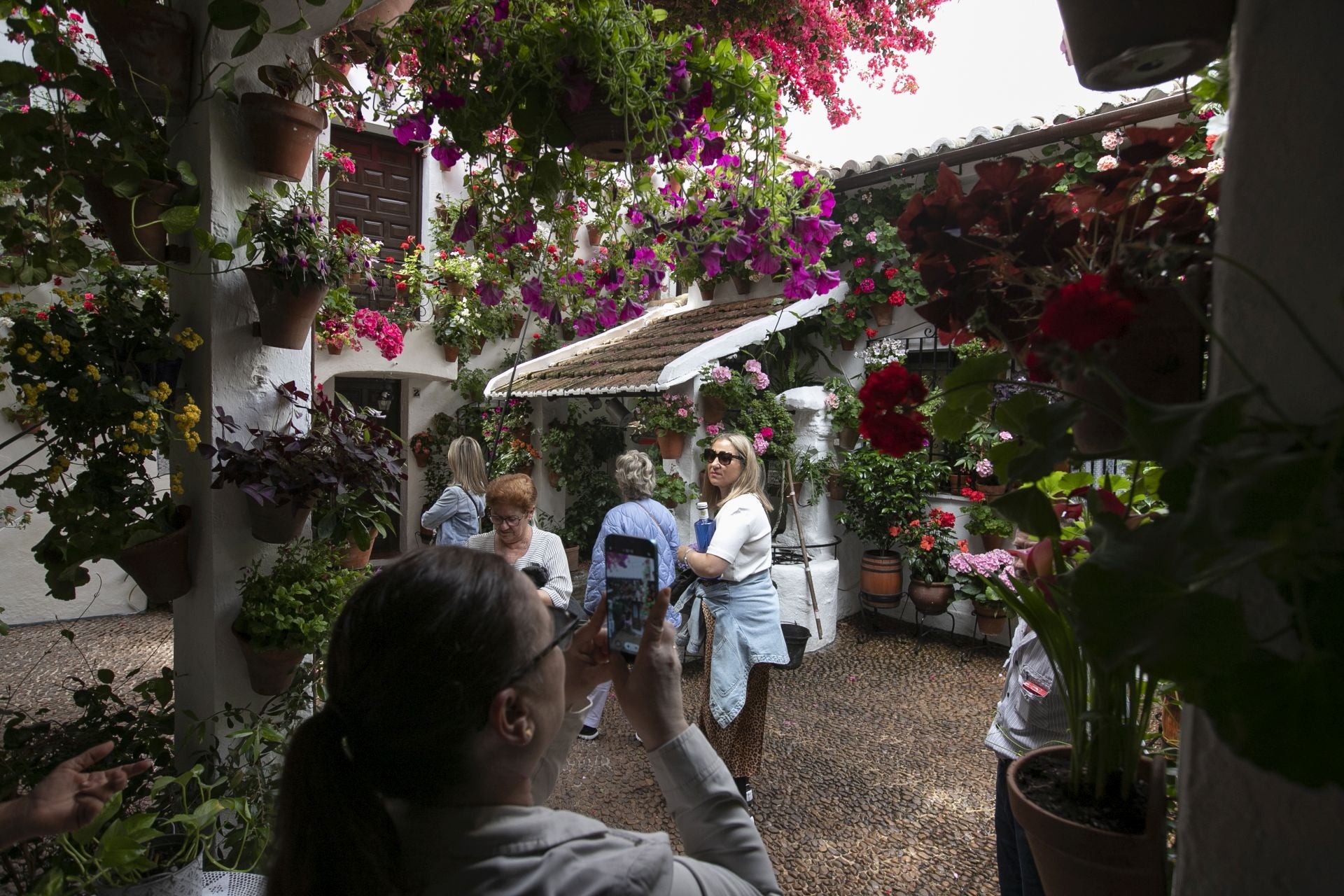 En imágenes, los abarrotados Patios de Córdoba el primer sábado del festival