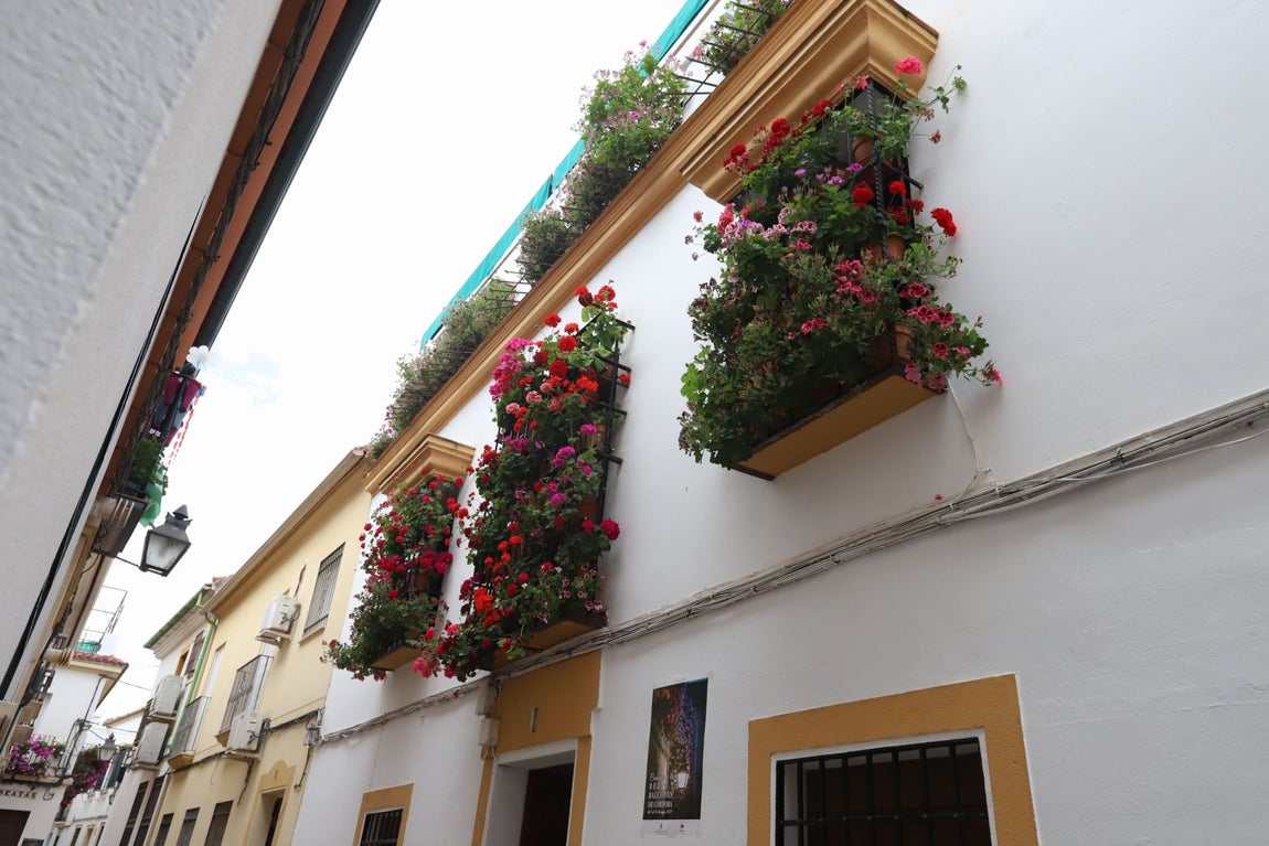 El imágenes, las Rejas y Balcones ganadoras del concurso 2025