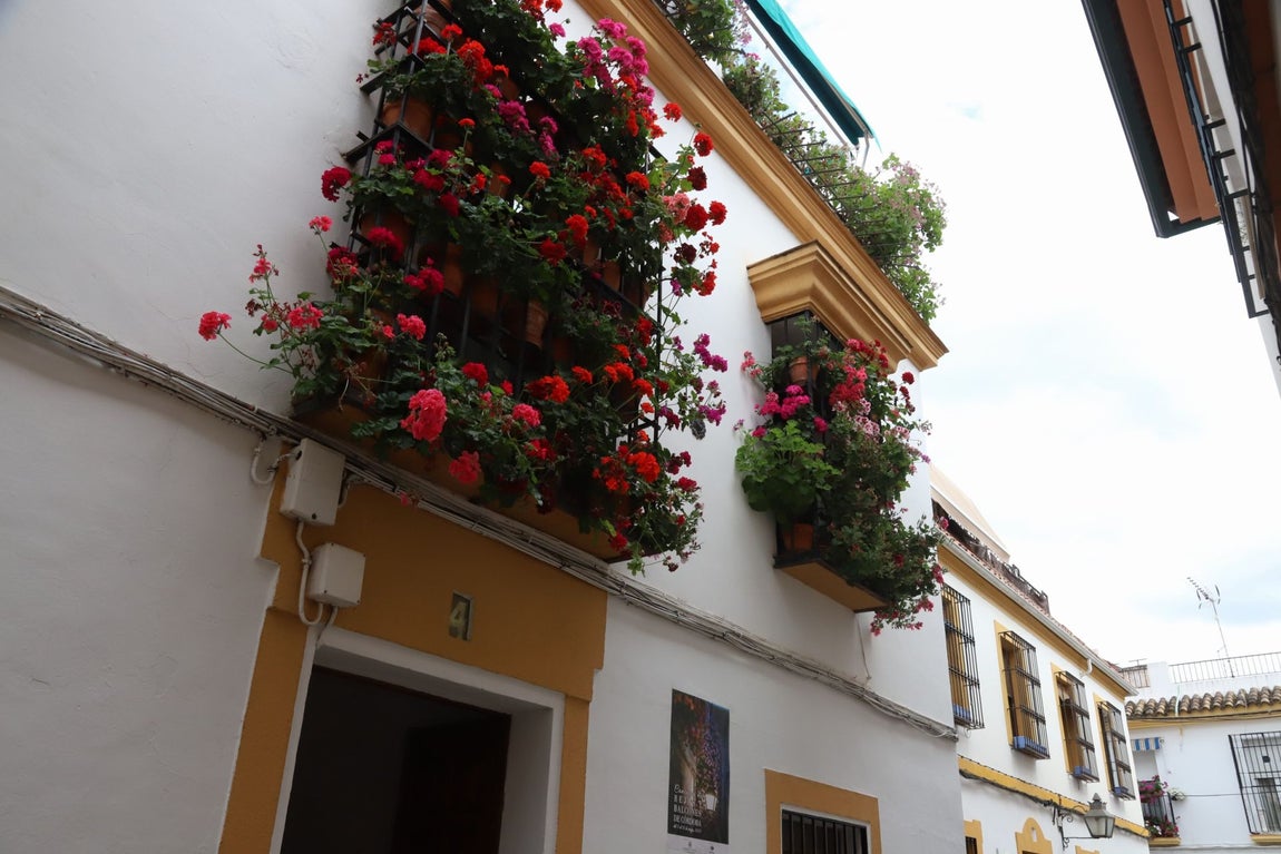 El imágenes, las Rejas y Balcones ganadoras del concurso 2025