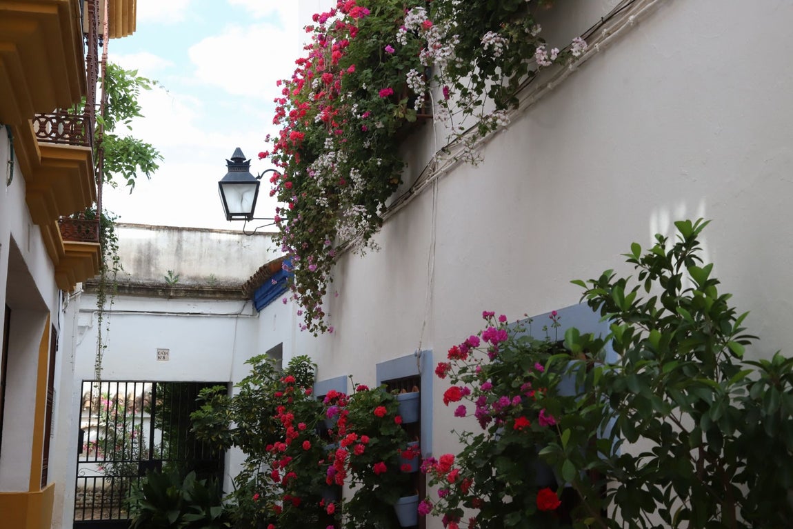 El imágenes, las Rejas y Balcones ganadoras del concurso 2025