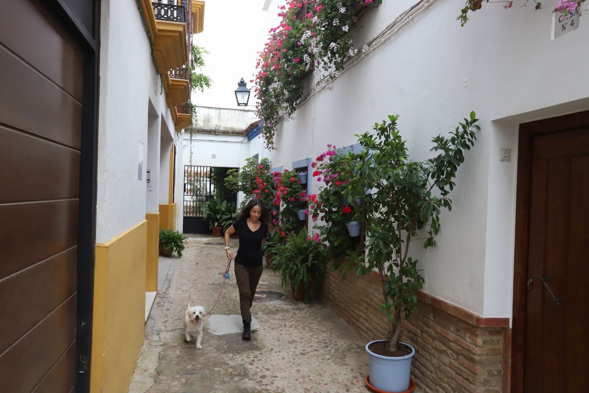 El imágenes, las Rejas y Balcones ganadoras del concurso 2025