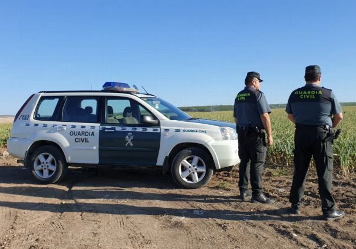 La investigación comenzó hace seis meses, a raíz de una actuación de la Patrulla de Comandancia de Protección de la Naturaleza de Toledo