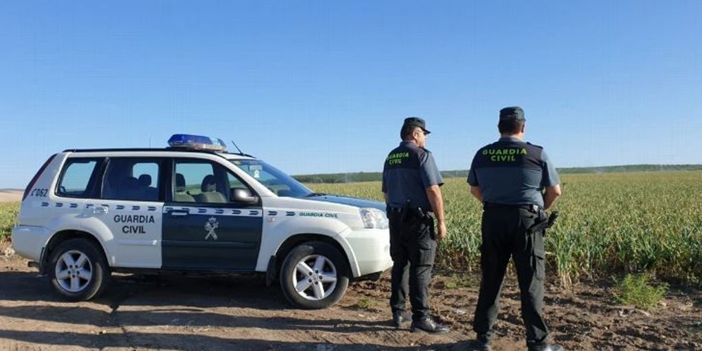 Detenidas tres personas y otras diez investigadas por la caza furtiva de erizos y liebres en Talavera y La Jara