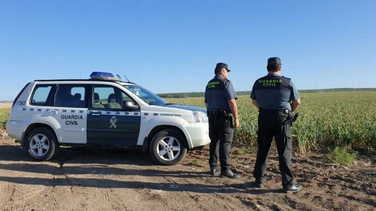 Detenidas tres personas y otras diez investigadas por la caza furtiva de erizos y liebres en Talavera y La Jara