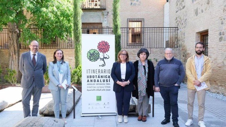 El granado, el mirto o el olivo y su relación con la sociedad judía, en una propuesta en el Sefardí de Toledo