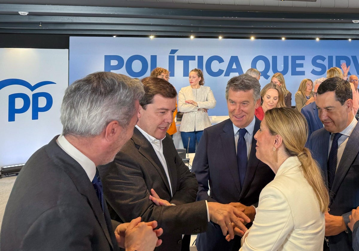 El presidente del PP de Castilla y León, Alfonso Fernández Mañueco, junto al líder nacional del partido, Alberto Núñez Feijoo, y otros compañeros de formación