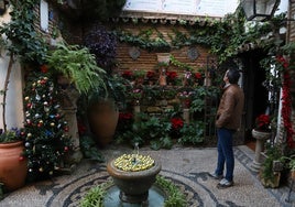 Así es el patio de Córdoba con más variedad floral: «Algunas plantas me sobreviven tres meses»