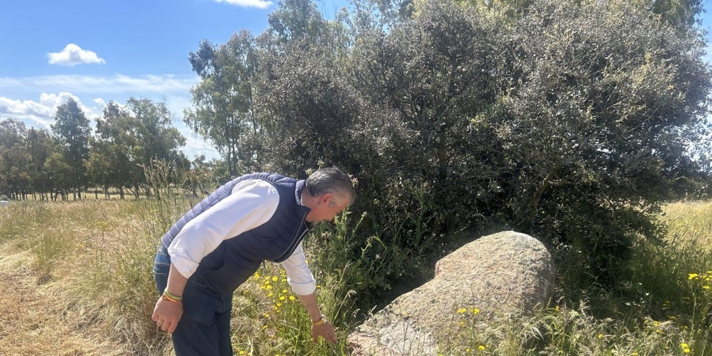 Talavera de la Reina preservará el menhir de Gamonal: «No podemos permitirnos no hacer nada. Es de justicia»