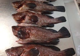 Un restaurante de Ibiza se enfrenta a una multa de 60.000 euros por utilizar pescado ilegal capturado mediante pesca submarina