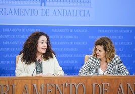 IU y Sumar en Andalucía confían en reeditar la coalición electoral con Podemos y «no contemplan» la hipótesis contraria