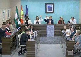 El PSOE de Almonte utiliza una grabación del pleno para tratar de tumbar la zona azul de Matalascañas