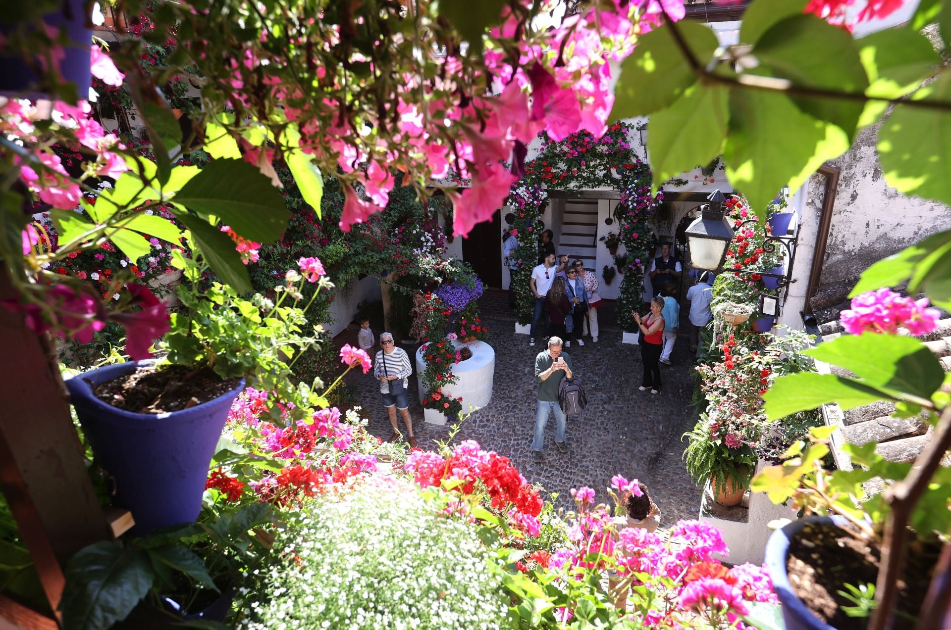 Un paseo por los patios más clásicos de Córdoba, en imágenes